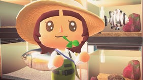 All Fish Checklist and Guide